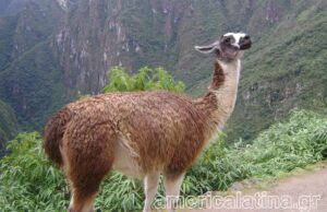 Το Περού καλύτερος διεθνής προορισμός για το 2024 από το National Geographic