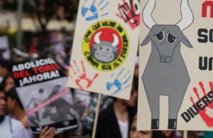 Η Κολομβία ψήφισε νόμο που απαγορεύει τις ταυρομαχίες