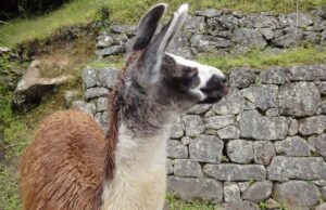 Φωτογραφική έκθεση του Περού με τίτλο “Το Μεγάλο Μονοπάτι των Ίνκας”