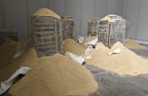 Ουρουγουάη και Παραγουάη ερίζουν για το φορτίο των 6,5 τόνων κοκαϊνης που έφθασε στην Πορτογαλία