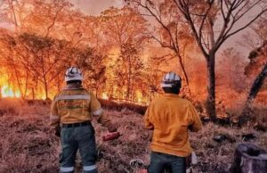 Δεκάδες εστίες φωτιάς κατακαίουν προστατευόμενα δάση στη Σάντα Κρους στη Βολιβία