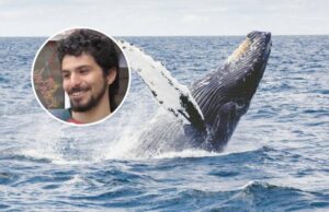 Πως ένας Χιλιανός σέρφερ βγήκε ζωντανός από την φάλαινα που τον κατάπιε στην Παταγονία