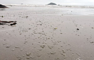 Παλίρροια “εξαφάνισε” τμήμα της θάλασσας σε παραλία στο Σάο Πάολο της Βραζιλίας