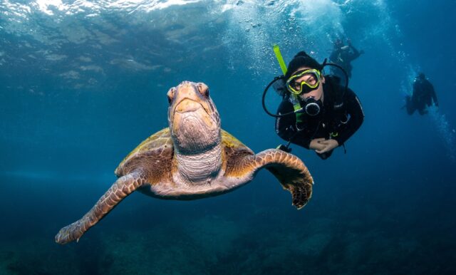 brazil mar turismo embratur