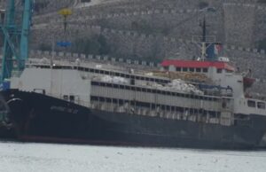 Η περιπέτεια για περίπου 3.000 αγελάδες από την Ουρουγουάη που εγκλωβίστηκαν στην Τουρκία