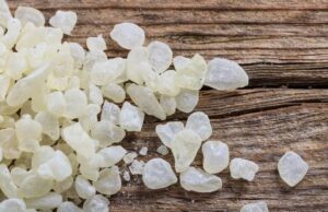 Η μαστίχα Χίου προ των πυλών για εξαγωγή στη Βραζιλία