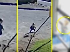 Βραζιλία: Ο μπέμπης το έσκασε